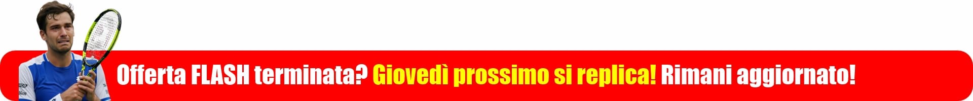 Offerta_Flash_BannerMini2